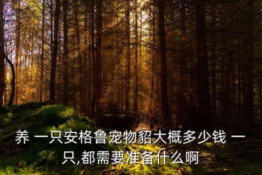貂多少錢(qián)一只,吉林省長(zhǎng)春安國(guó)路雪貂唯一顏色是紅眼白化