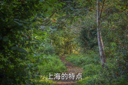  上海的特點