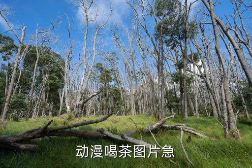 動漫喝茶圖片急