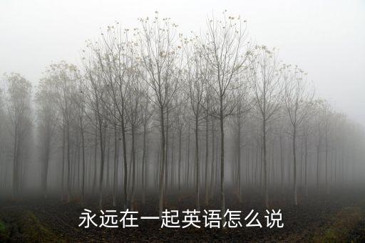 永遠在一起英文，永永遠遠在一起 用英語怎么說