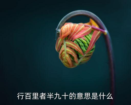 行百里者半九十的意思是什么