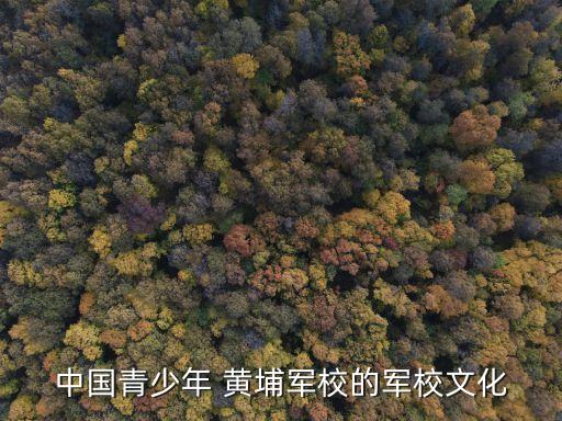 黃埔軍校校訓,孫中山在蘇聯和中共幫助下創辦陸軍軍官學校