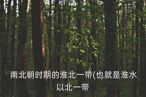 南北朝地圖,南北朝時(shí)期政權(quán)分離更替頻繁民族融合蓬勃發(fā)展