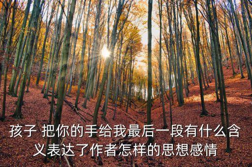 孩子 把你的手給我最后一段有什么含義表達了作者怎樣的思想感情