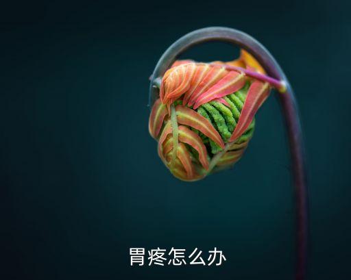  胃疼怎么辦