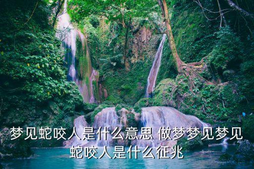 夢見蛇咬人是什么意思 做夢夢見夢見蛇咬人是什么征兆