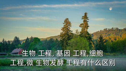  生物 工程, 基因 工程,細胞 工程,微 生物發酵 工程有什么區別