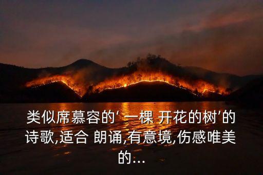 類似席慕容的‘ 一棵 開花的樹’的詩歌,適合 朗誦,有意境,傷感唯美的...