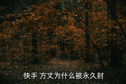 快手方丈,快手前身是gif快手主播