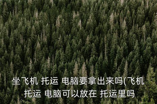 托運電腦,托運電腦需要拿出來嗎?答（四）