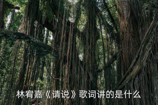 快說你想要,林宥嘉:我在看你說的話