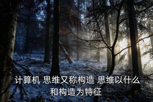  計算機 思維又稱構造 思維以什么和構造為特征