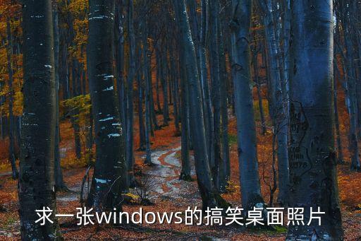 求一張windows的搞笑桌面照片