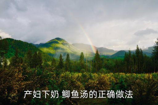 產婦下奶 鯽魚湯的正確做法