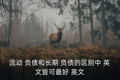 負(fù)債英文,公司會(huì)計(jì)分錄:長期負(fù)債到期日在一年以上的債務(wù)