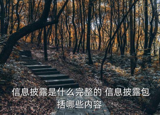  信息披露是什么完整的 信息披露包括哪些內容