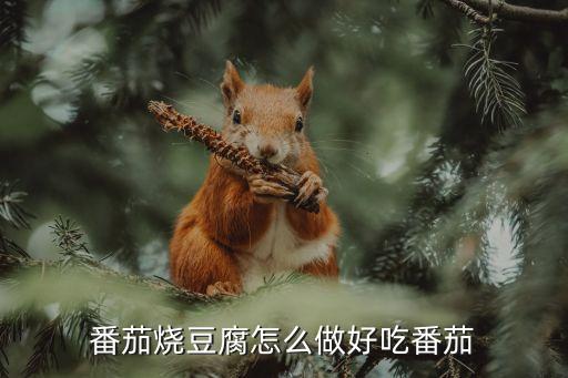 番茄燒豆腐怎么做好吃番茄