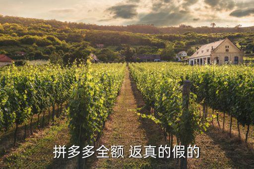 拼多多全額 返真的假的