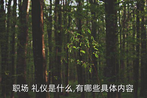 職場 禮儀是什么,有哪些具體內容
