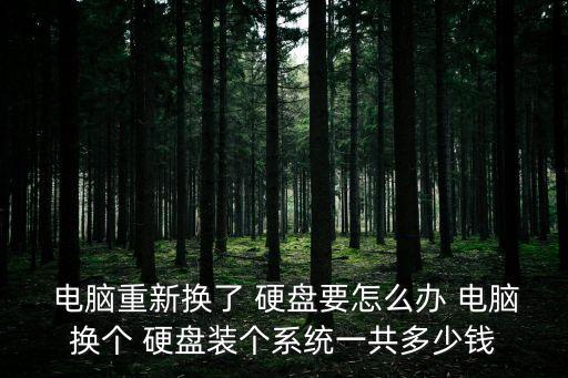 電腦重新換了 硬盤要怎么辦 電腦換個 硬盤裝個系統一共多少錢