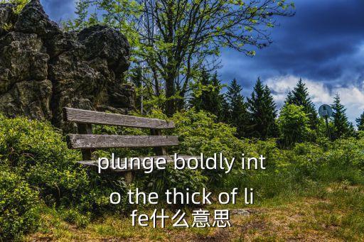 plunge，plunge boldly into the thick of life什么意思