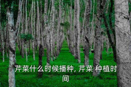 芹菜種植技術(shù)和種植時(shí)間,從這里開始!如何種菜!