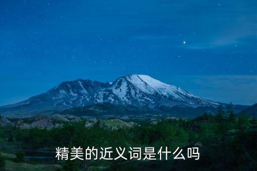 精美的近義詞是什么嗎