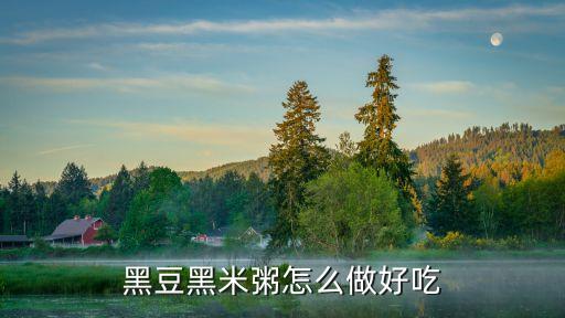 黑豆黑米粥怎么做好吃