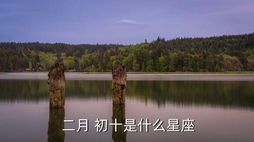  二月 初十是什么星座