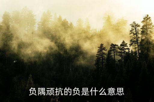 負隅頑抗的負是什么意思
