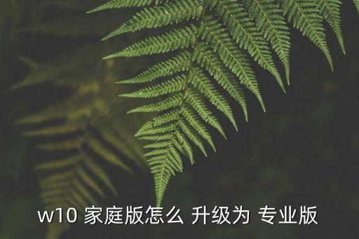 家庭版升級專業版,win10專業版本密鑰44開始升級