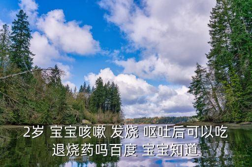 寶寶發燒嘔吐,寶寶發燒嘔吐是胃腸熱引起的嗎?