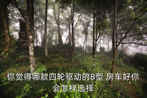 奇瑞房車(chē),國(guó)內(nèi)房車(chē)使用底盤(pán)主要有皮卡底盤(pán)和輕型乘用車(chē)底盤(pán)