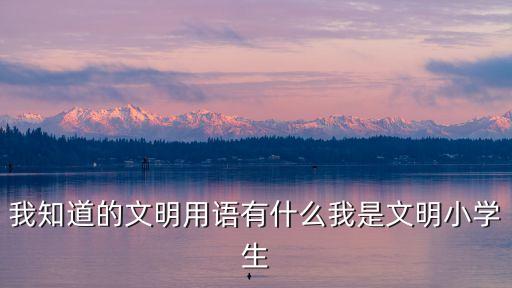我知道的文明用語有什么我是文明小學生