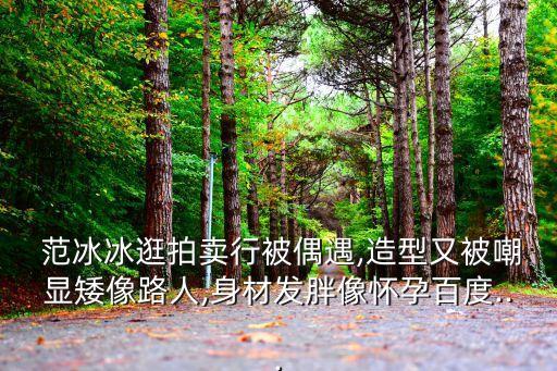 范冰冰的圖片,范冰冰簽名造型師楊爍亮相比路人矮很多