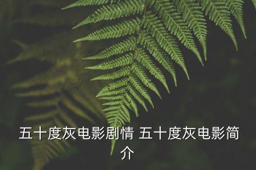 五十度灰豆瓣,五十都匯嚴(yán)格忠于原著女大生與企業(yè)家相遇