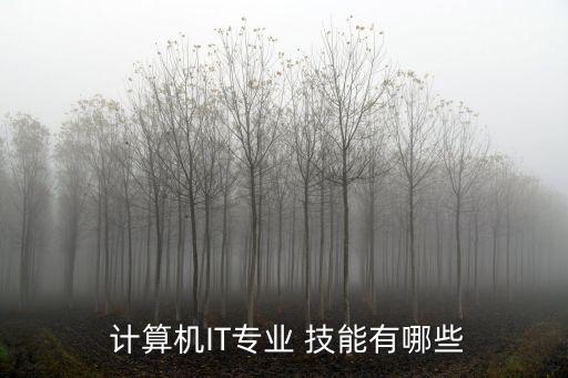  計(jì)算機(jī)IT專業(yè) 技能有哪些