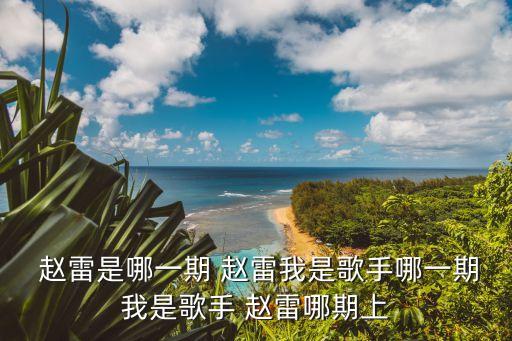 趙雷南方姑娘,北漂女孩寫歌安慰漂泊者