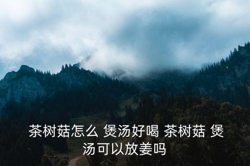  茶樹菇怎么 煲湯好喝 茶樹菇 煲湯可以放姜嗎