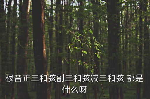 減三和弦，根音正三和弦副三和弦減三和弦 都是什么呀