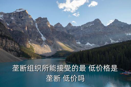  壟斷組織所能接受的最 低價(jià)格是 壟斷 低價(jià)嗎