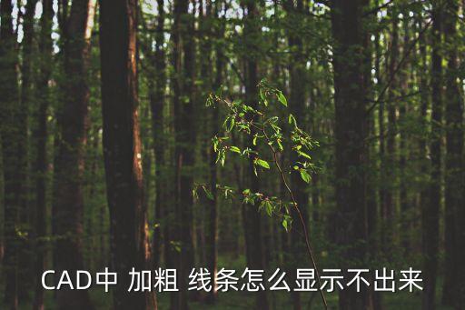 CAD中 加粗 線條怎么顯示不出來