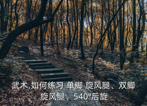 武術(shù),如何練習(xí) 單腳 旋風(fēng)腿、雙腳 旋風(fēng)腿、540°后旋