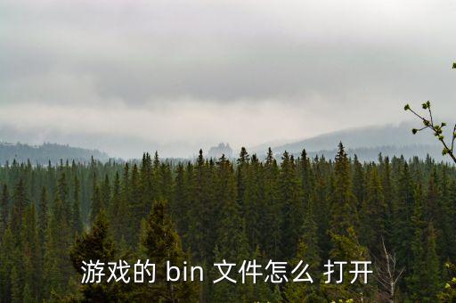 游戲的 bin 文件怎么 打開