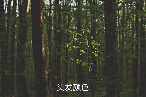 頭發顏色