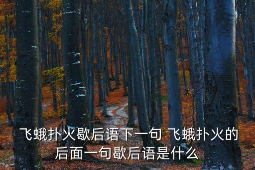  飛蛾撲火歇后語下一句 飛蛾撲火的后面一句歇后語是什么