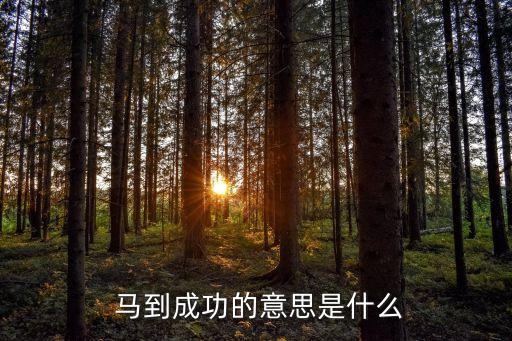  馬到成功的意思是什么