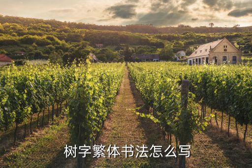  樹字繁體書法怎么寫