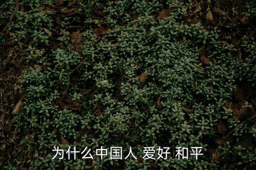 愛好和平,在外人眼里中國(guó)是一個(gè)愛好和平的國(guó)家?
