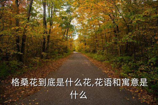  格桑花到底是什么花,花語和寓意是什么